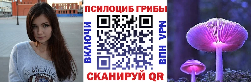 Псилоцибиновые грибы Psilocybine cubensis Советская Гавань