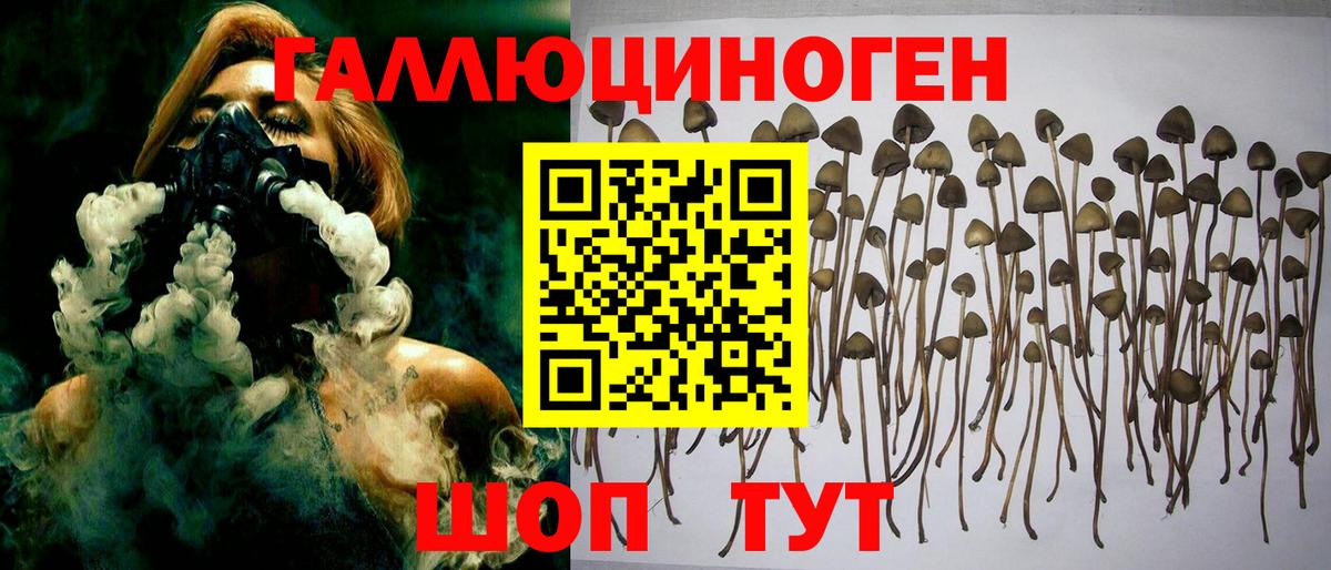 Советская Гавань  Псилоцибиновые грибы ЛСД  Вход с VPN 